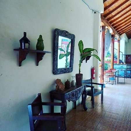 Hostal Don Gato Granada Exteriér fotografie