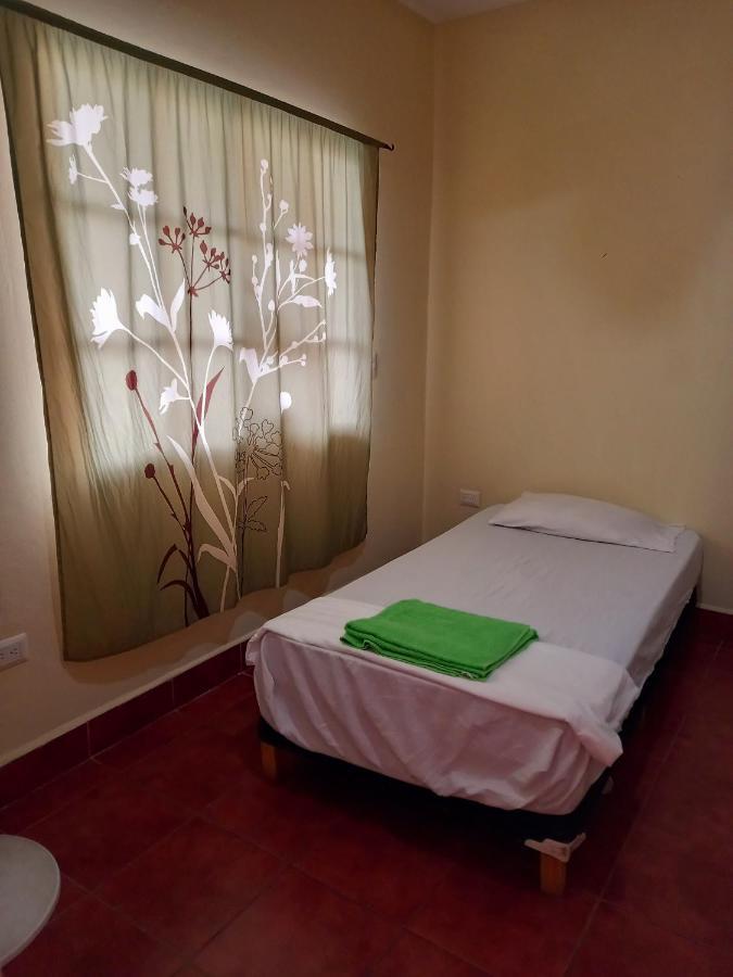 Hostal Don Gato Granada Exteriér fotografie